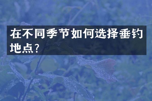 在不同季节如何选择垂钓地点？