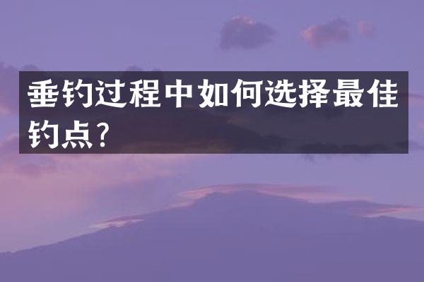 垂钓过程中如何选择最佳钓点？