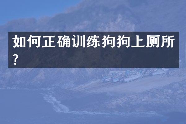 如何正确训练狗狗上厕所？