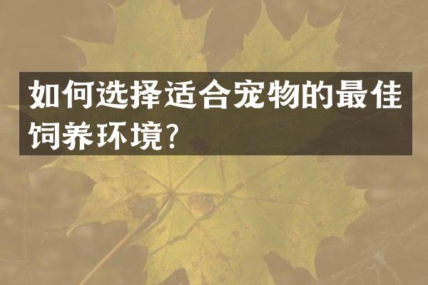 如何选择适合宠物的最佳饲养环境？