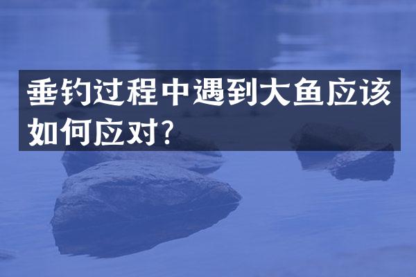 垂钓过程中遇到大鱼应该如何应对？