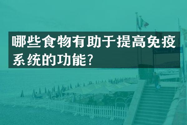 哪些食物有助于提高免疫系统的功能？