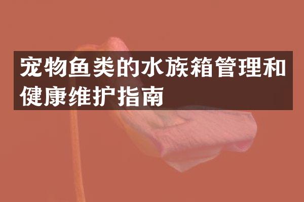 宠物鱼类的水族箱管理和健康维护指南