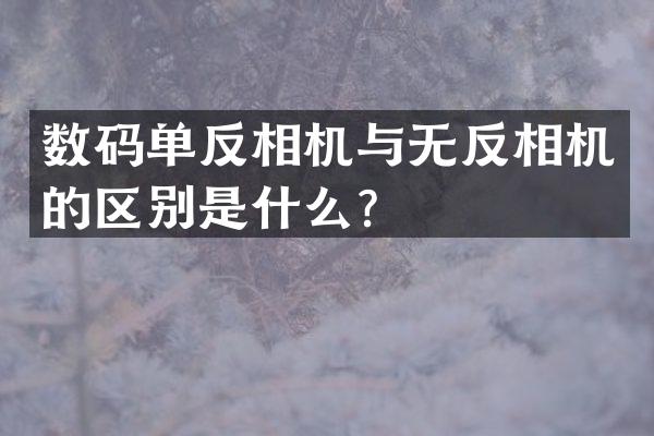 数码单反相机与无反相机的区别是什么？