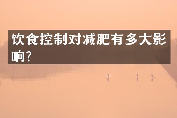 饮食控制对减肥有多大影响？