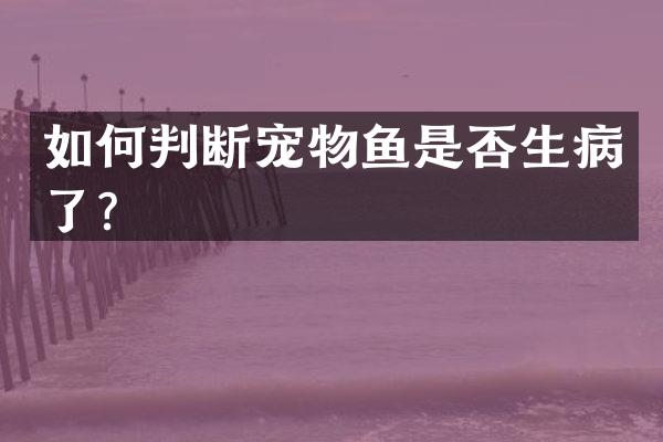 如何判断宠物鱼是否生病了？