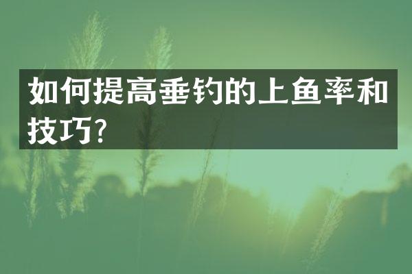 如何提高垂钓的上鱼率和技巧？