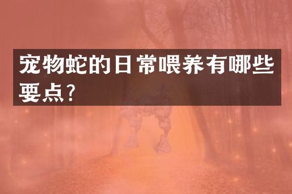 宠物蛇的日常喂养有哪些要点？