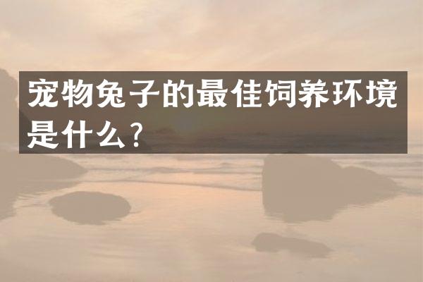 宠物兔子的最佳饲养环境是什么？