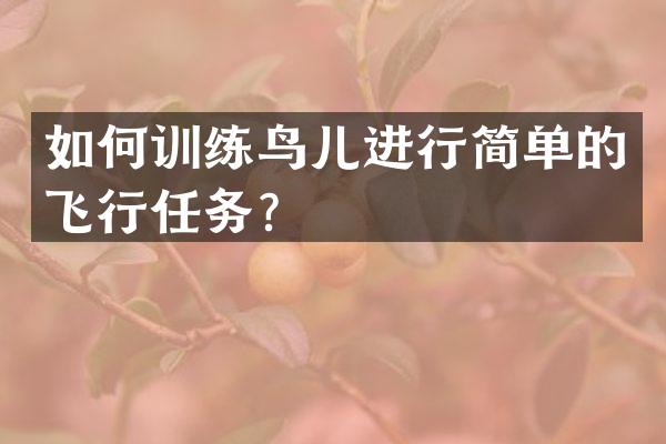 如何训练鸟儿进行简单的飞行任务？