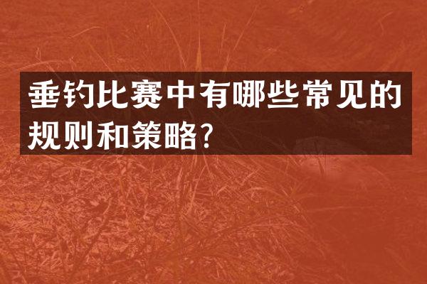 垂钓比赛中有哪些常见的规则和策略？