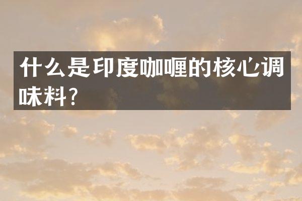 什么是印度咖喱的核心调味料？