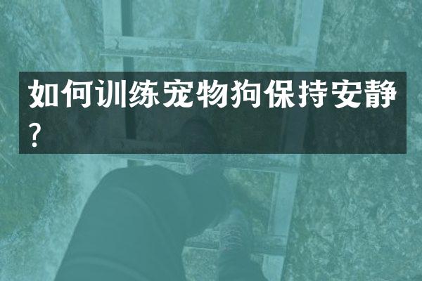 如何训练宠物狗保持安静？
