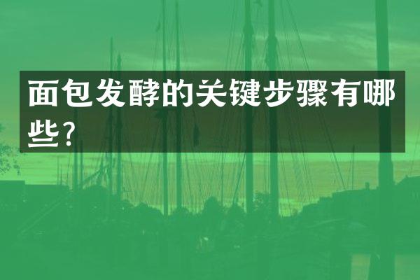 面包发酵的关键步骤有哪些？