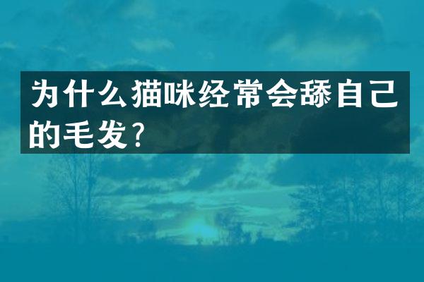 为什么猫咪经常会舔自己的毛发？