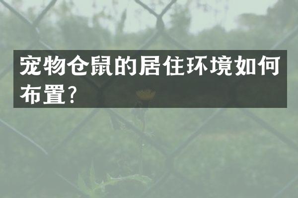 宠物仓鼠的居住环境如何布置？