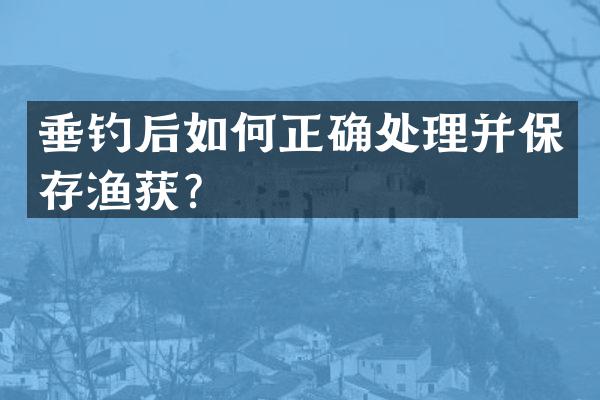 垂钓后如何正确处理并保存渔获？