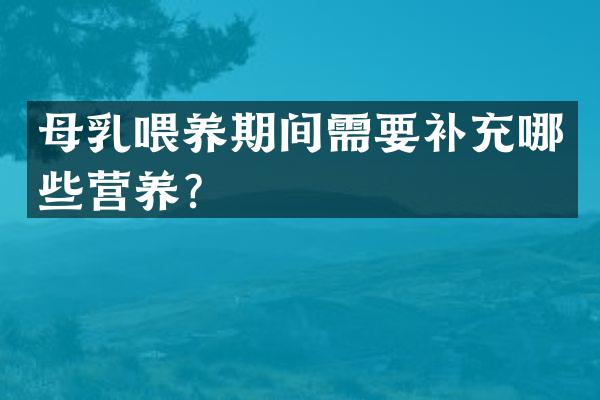 母乳喂养期间需要补充哪些营养？