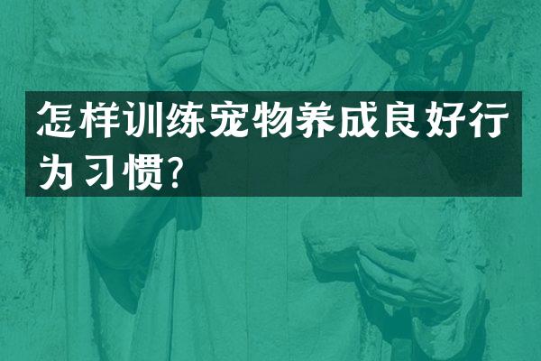 怎样训练宠物养成良好行为习惯？