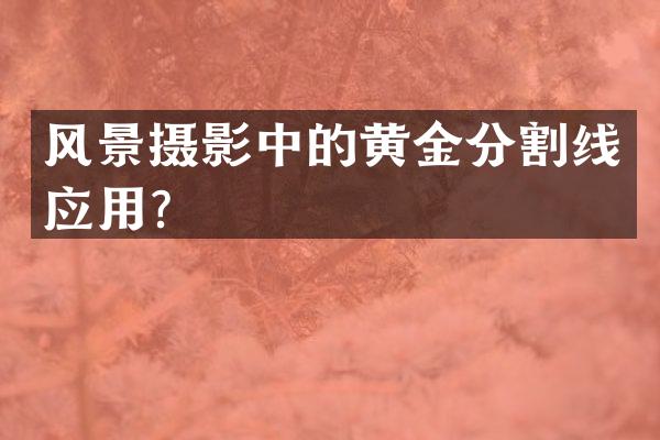 风景摄影中的黄金分割线应用？