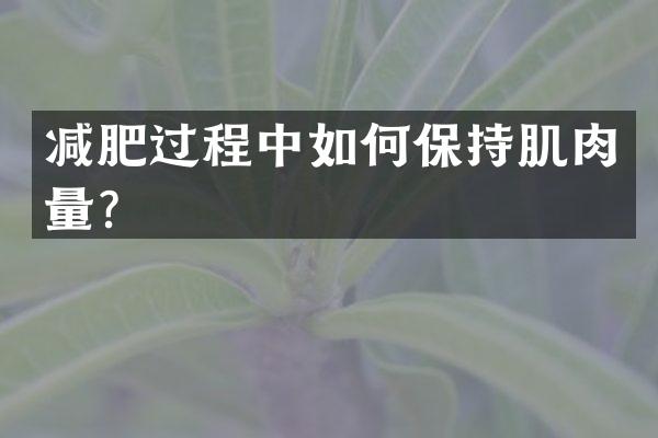 减肥过程中如何保持肌肉量？