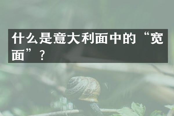 什么是意大利面中的&ldquo;宽面&rdquo;？