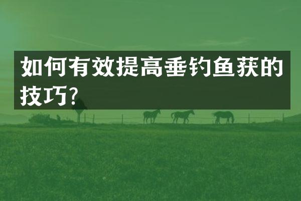 如何有效提高垂钓鱼获的技巧？