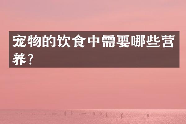 宠物的饮食中需要哪些营养？