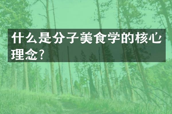 什么是分子美食学的核心理念？