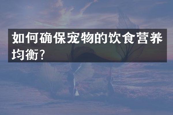 如何确保宠物的饮食营养均衡？