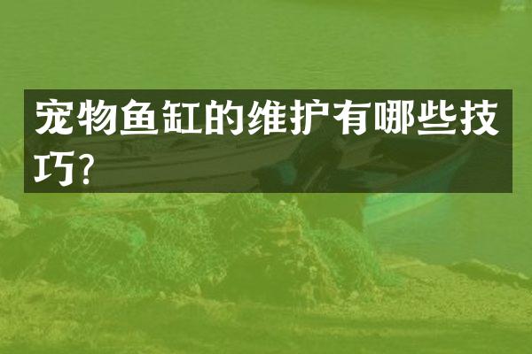宠物鱼缸的维护有哪些技巧？