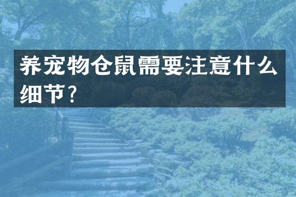 养宠物仓鼠需要注意什么细节？