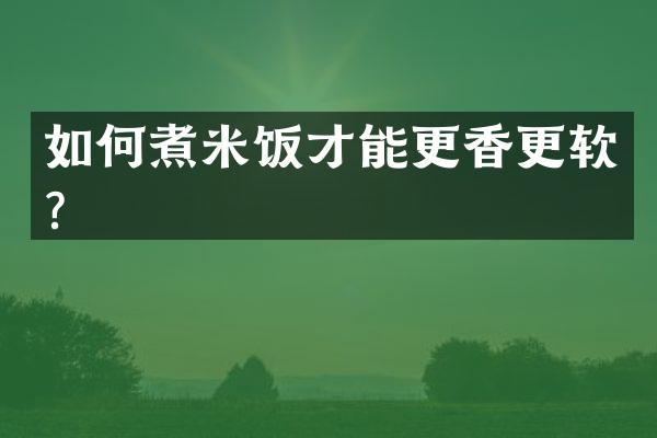 如何煮米饭才能更香更软？