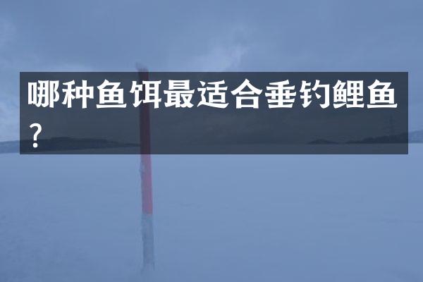 哪种鱼饵最适合垂钓鲤鱼？