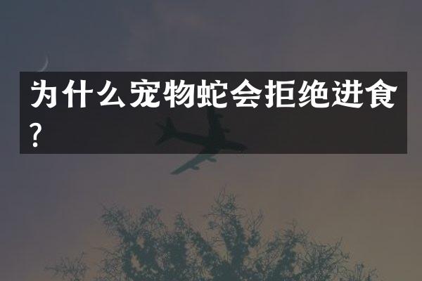 为什么宠物蛇会拒绝进食？