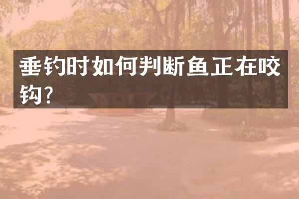 垂钓时如何判断鱼正在咬钩？