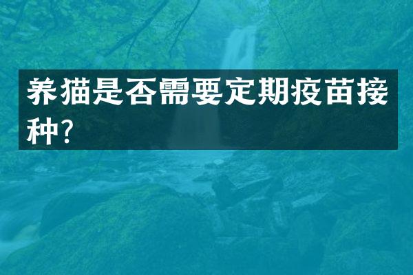 养猫是否需要定期疫苗接种？
