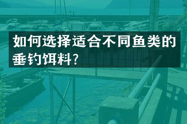如何选择适合不同鱼类的垂钓饵料？