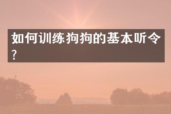 如何训练狗狗的基本听令？