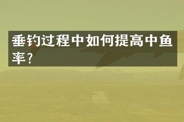 垂钓过程中如何提高中鱼率？