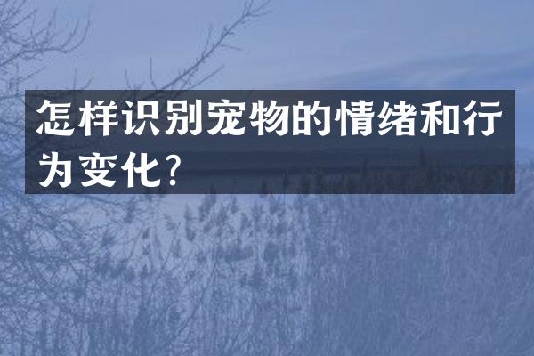 怎样识别宠物的情绪和行为变化？