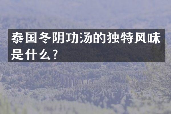 泰国冬阴功汤的独特风味是什么？