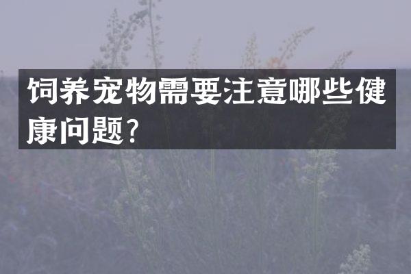 饲养宠物需要注意哪些健康问题？