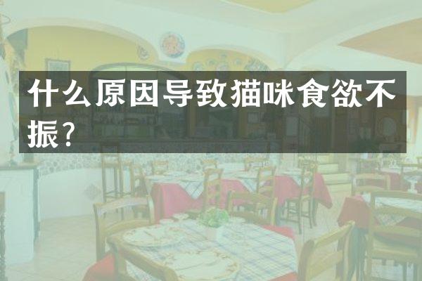 什么原因导致猫咪食欲不振？