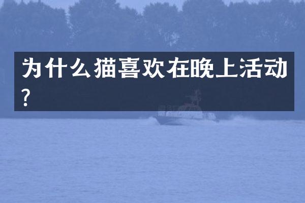 为什么猫喜欢在晚上活动？