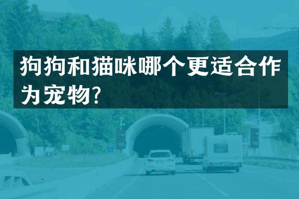 狗狗和猫咪哪个更适合作为宠物？