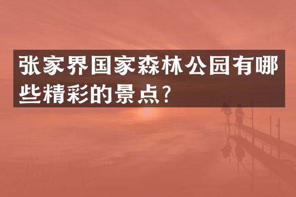 张家界国家森林公园有哪些精彩的景点？