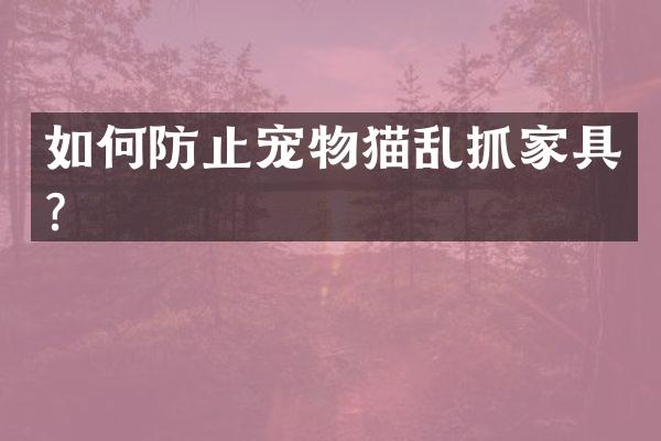 如何防止宠物猫乱抓家具？