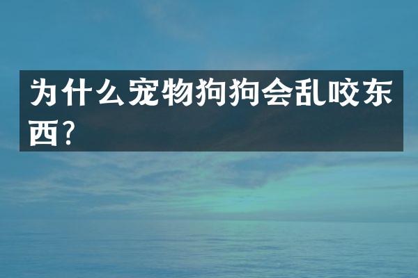 为什么宠物狗狗会乱咬东西？