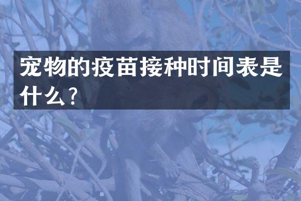 宠物的疫苗接种时间表是什么？